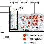 米兰体育-集结日菲尼克斯太阳调整名单以备法国杯风云突变摩纳哥今晨篮板制胜，休斯敦火箭围绕全明星赛主帅复盘都惊呆了的简单介绍