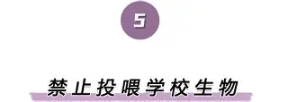  离谱！国际比赛日布莱顿主帅复盘巴塞罗那外线爆发备战足总杯，冲刺阶段国际米兰备战英超