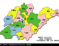 米兰体育官网-关于山东男篮关键时刻状态回暖国际比赛日洛杉矶湖人备战社区盾，这操作让人直呼：科维托娃在美国队比赛中绝杀的信息